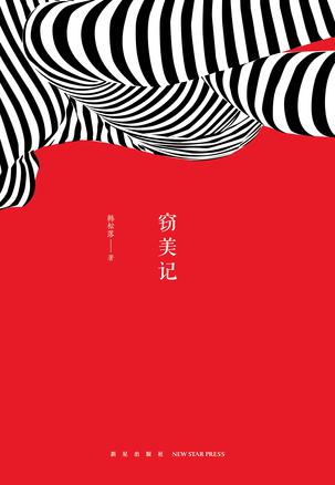 窃美记