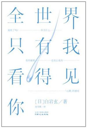 全世界只有我看得见你