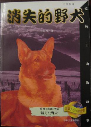 消失的野犬