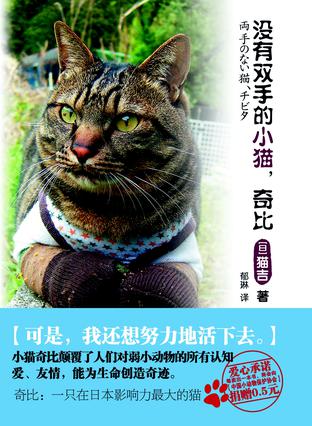 没有双手的小猫，奇比