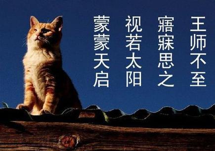 苏醒的金狼 大薮春彦