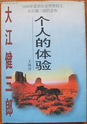 个人的体验