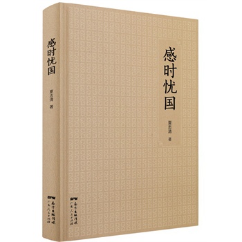 感时忧国