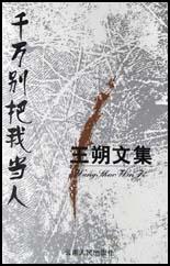 王朔文集