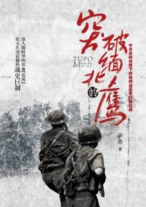 突破缅北的鹰