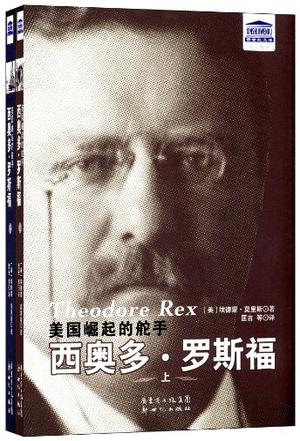 美国崛起的舵手（套装上下册）