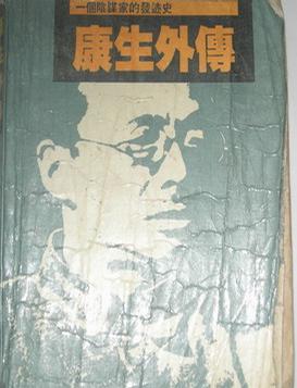 康生外传