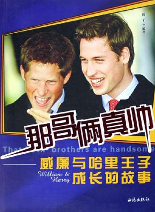 那哥俩真帅