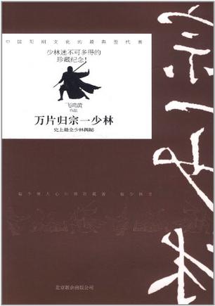 万片归宗一少林