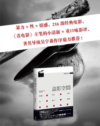 盗影空间