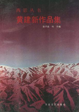 黄建新作品集