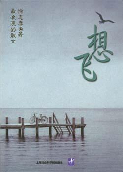 想飞