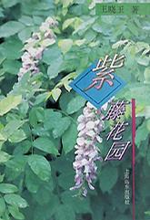 紫藤花园