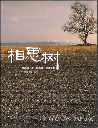 相思树