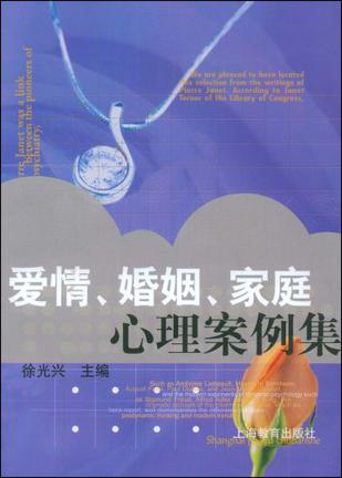 爱情婚姻家庭心理案例集