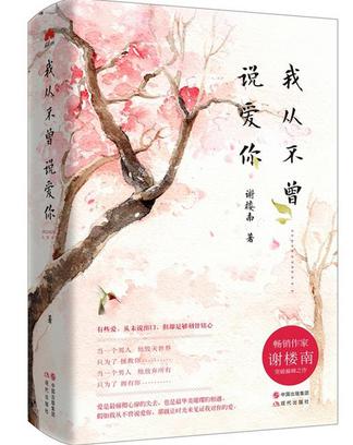 我从不曾说爱你