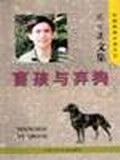 盲孩与弃狗