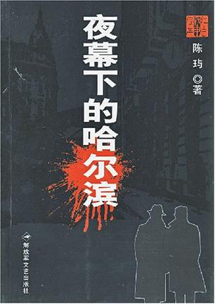 夜幕下的哈尔滨