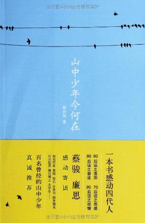 山中少年今何在