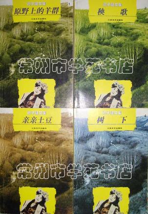 迟子建文集(全四册) 迟子建文集(全四册)