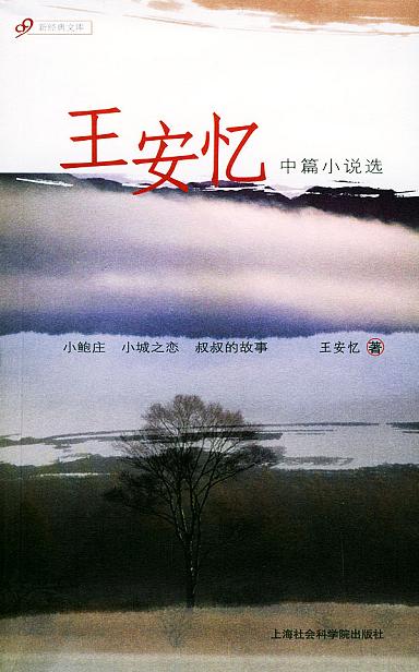 王安忆中篇小说选