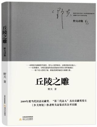 丘陵之雕：野夫诗集