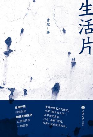 生活片