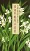因为年轻所以流浪
