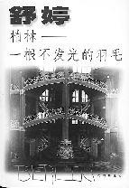 柏林：一根不发光的羽毛