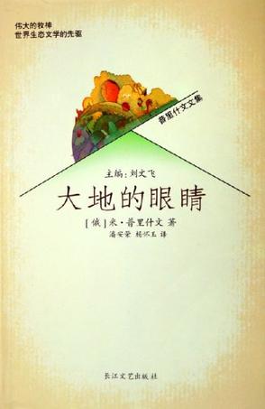 大地的眼睛