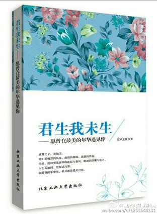 君生我未生 君生我未生