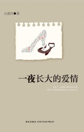 一夜长大的爱情