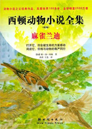 麻雀兰迪