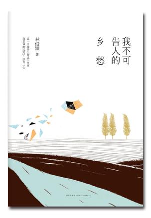 我不可告人的乡愁