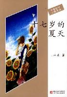 十七岁的夏天