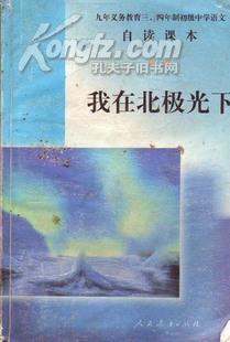 我在北极光下