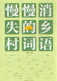 慢慢消失的乡村词语
