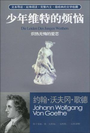 少年维特的烦恼