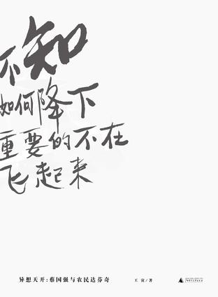 异想天开