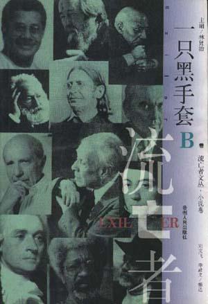 一只黑手套
