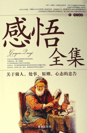 感悟全集