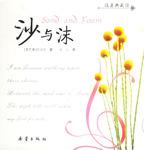 沙与沫