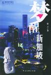 梦醒新加坡