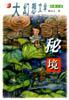 秘境
