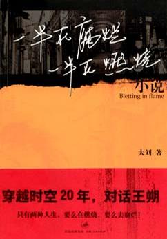 一半在腐烂 一半在燃烧