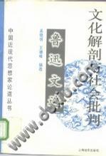 文化解剖与社会批判