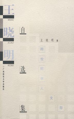 王晓明自选集