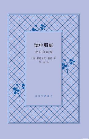 镜中瑕疵