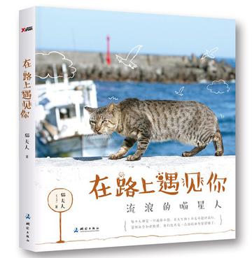 在路上遇见你