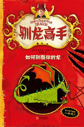 驯龙高手1